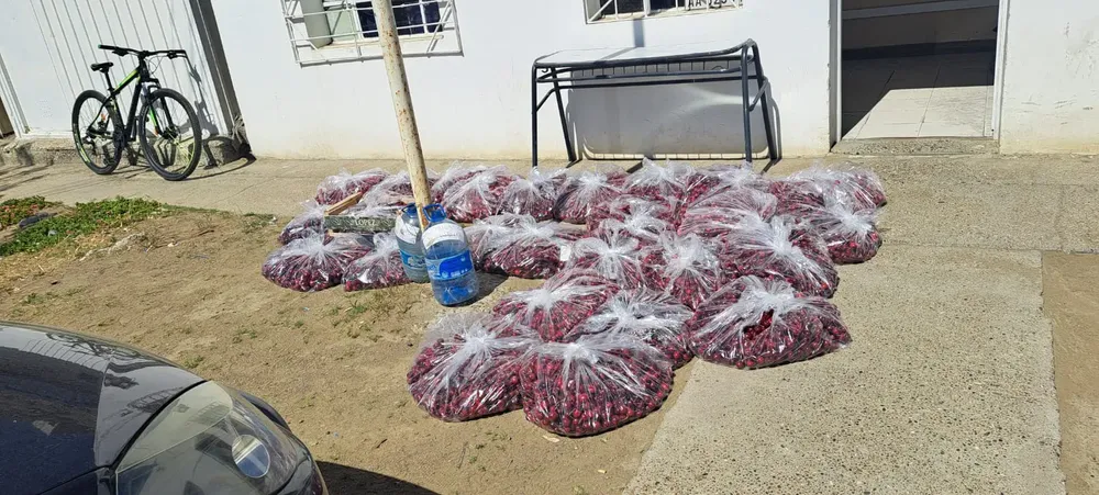 WhatsApp Image 2023-12-28 at 11.57.59