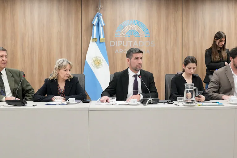 comision-de-salud-de-diputados-conducida-por-el-libertario-manuel-quintar-y-secundado-por-la-peronista-claudia-palladino-foto-diputados-L2AQIDDLKFDFJDHVPGUL3FP76Q