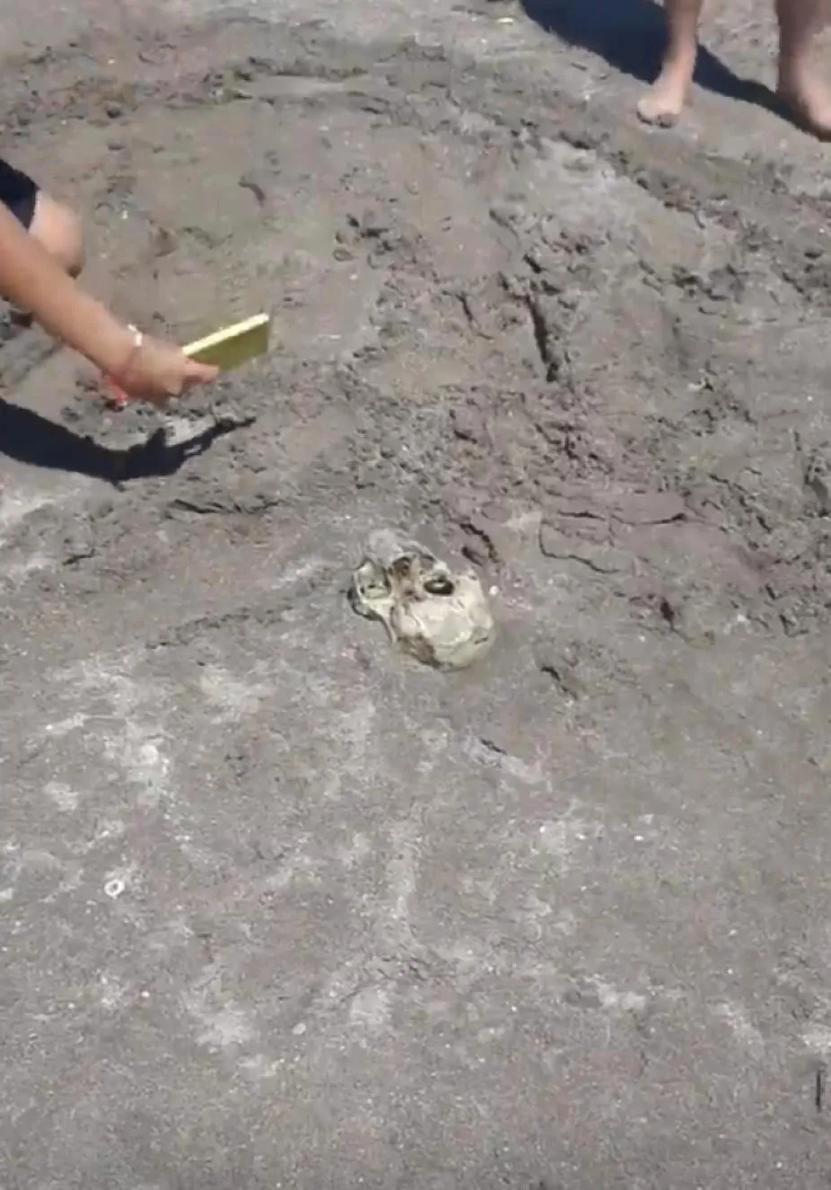 926x0_69778_20240109193224