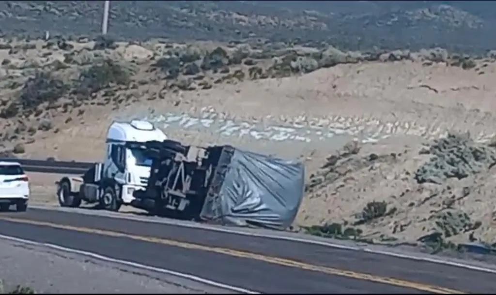 493a8dae-b09a-49b4-8b31-5a3117af7b44