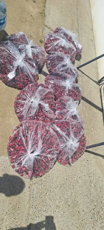 WhatsApp Image 2023-12-28 at 11.57.57