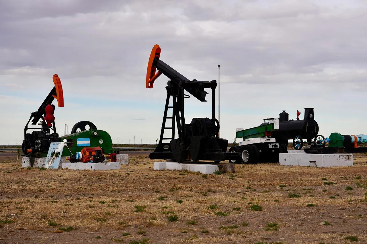 WhatsApp_Image_2026-02-02_at_7.04.13_PM