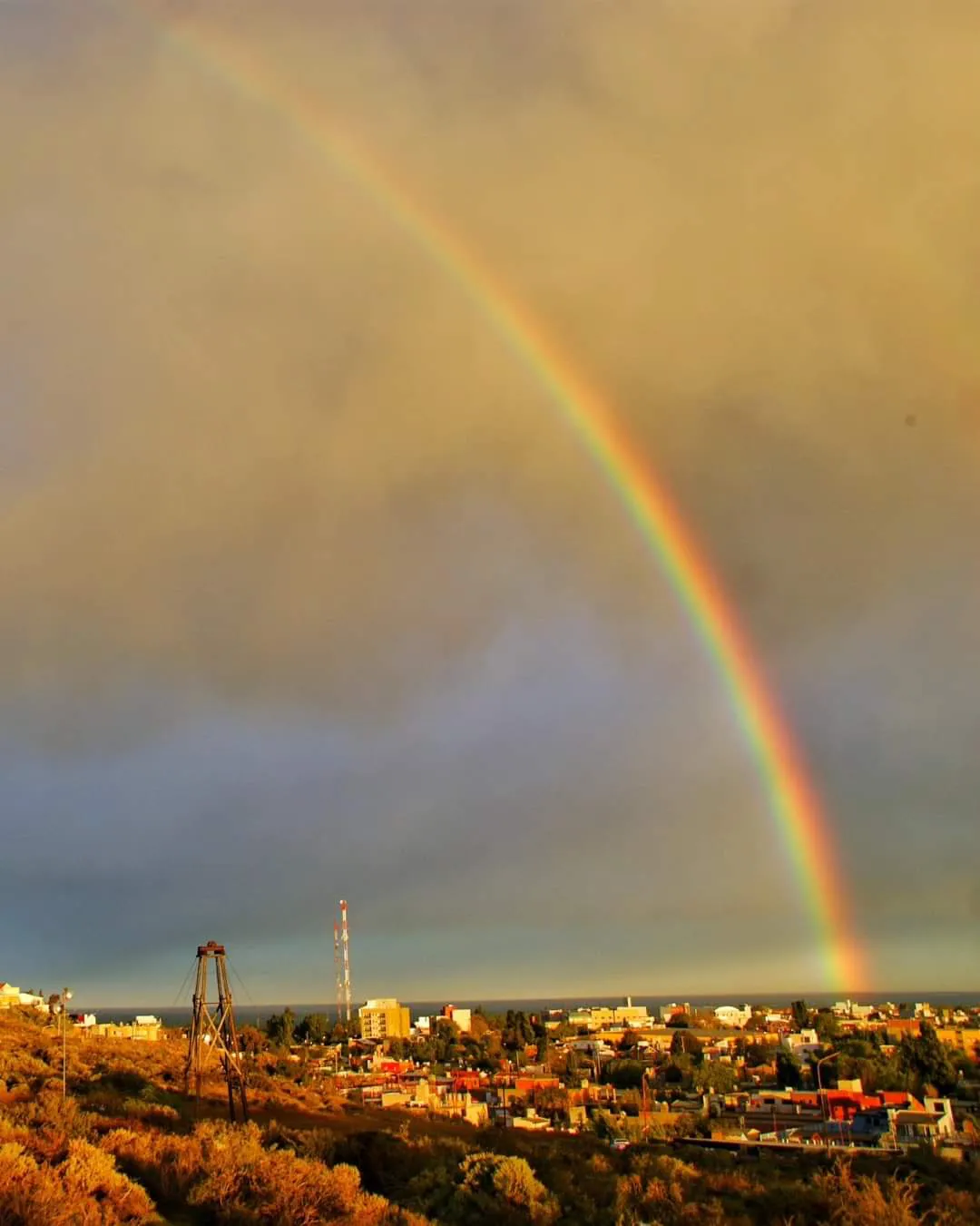 FB_IMG_1712570902770