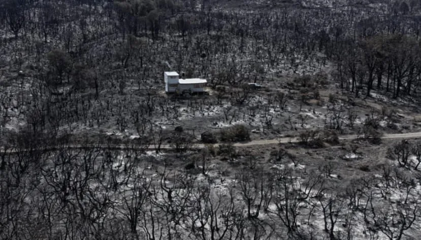 WhatsApp Image 2024-02-10 at 11.31.45