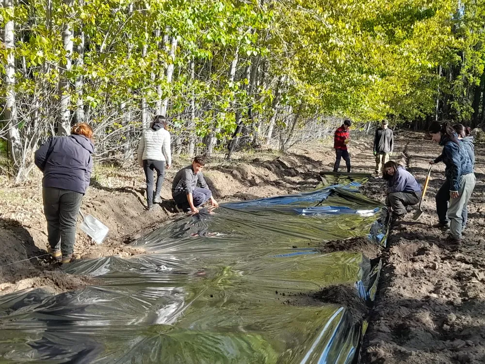 WhatsApp_Image_2025-12-29_at_10.42.53_2