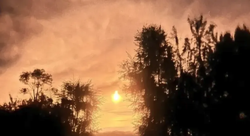 Captura de Pantalla 2025-02-20 a la(s) 15.30.14