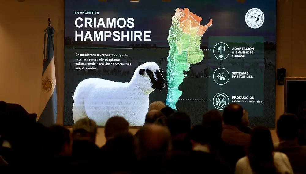 hampshire-down-mundial