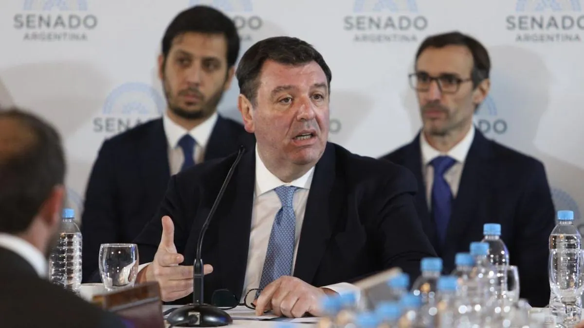 ariel-lijo-en-el-senado-1857867jpg