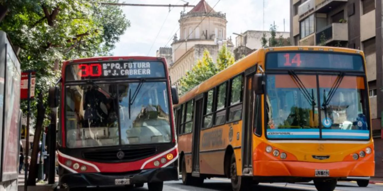 multimedia.normal.9a8f2c4a757a7712.436f6c65637469766f73206279204d756e696369702064652043c3b372646f625f6e6f726d616c2e77656270