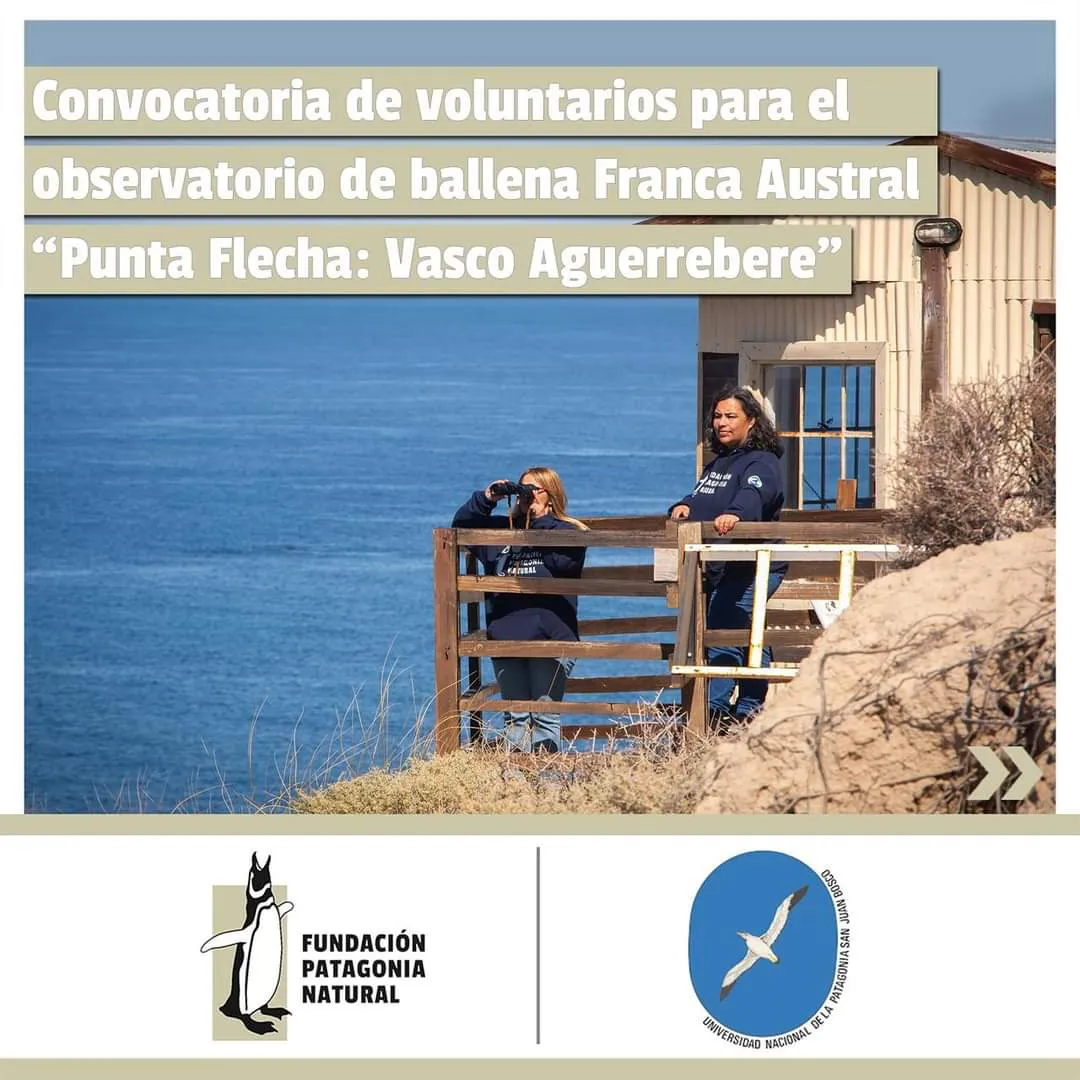 FB_IMG_1718300987675