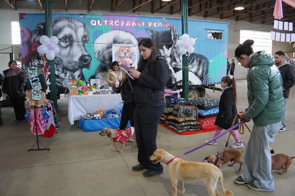 c395bc95-be46-43ad-b920-087ee6fb69aa