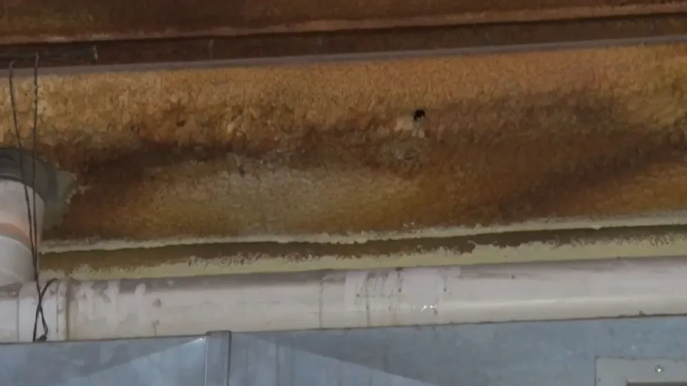 Diseño sin título (15)