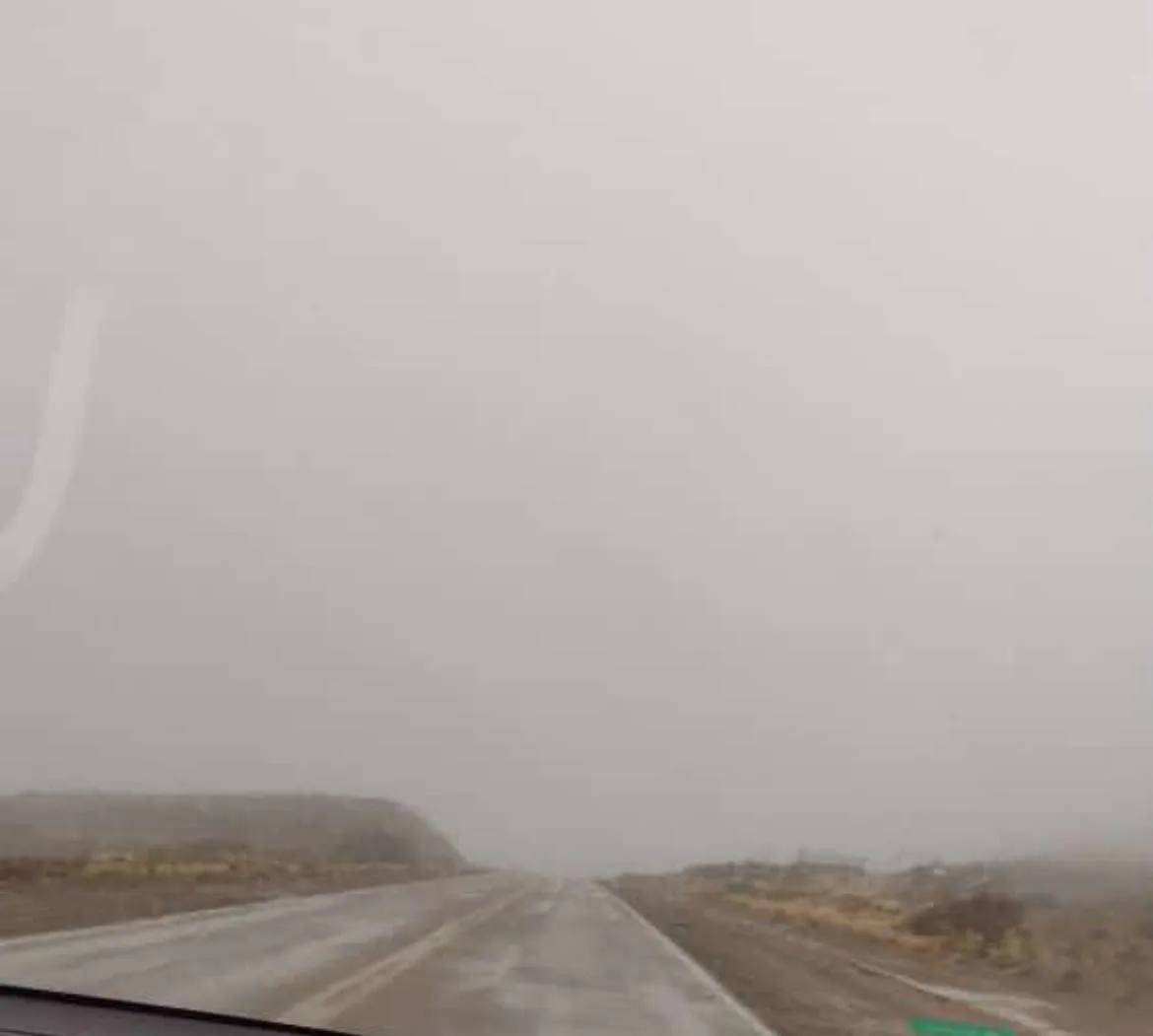 a5f5ff66-b6e4-400c-9cb0-08985b2b5ee4