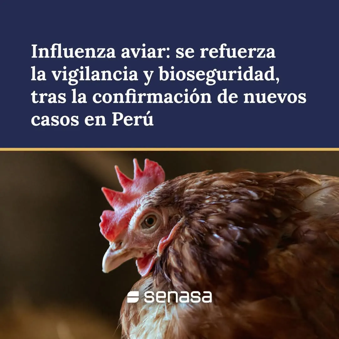 FB_IMG_1739027532917