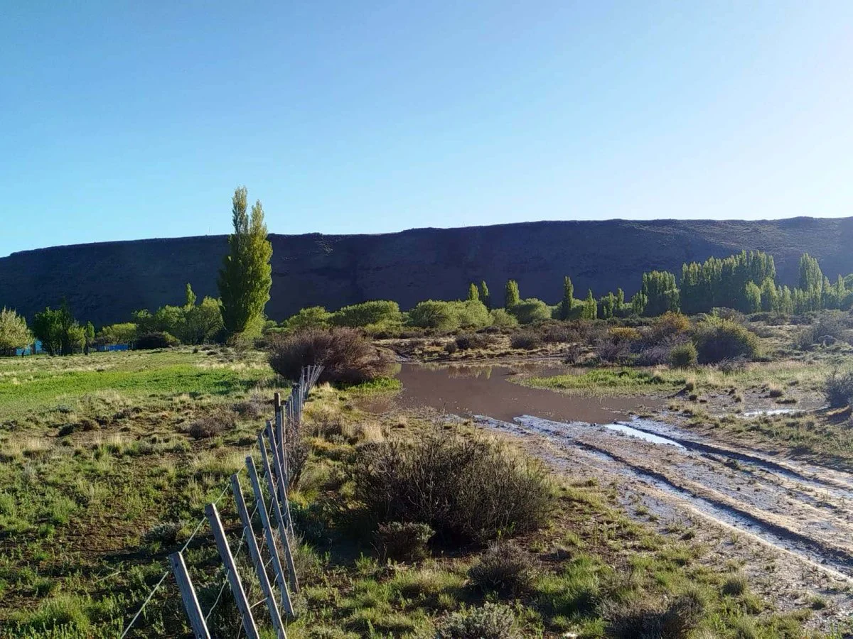 PEDIDO_PRODUCTORES_GREGORES_1