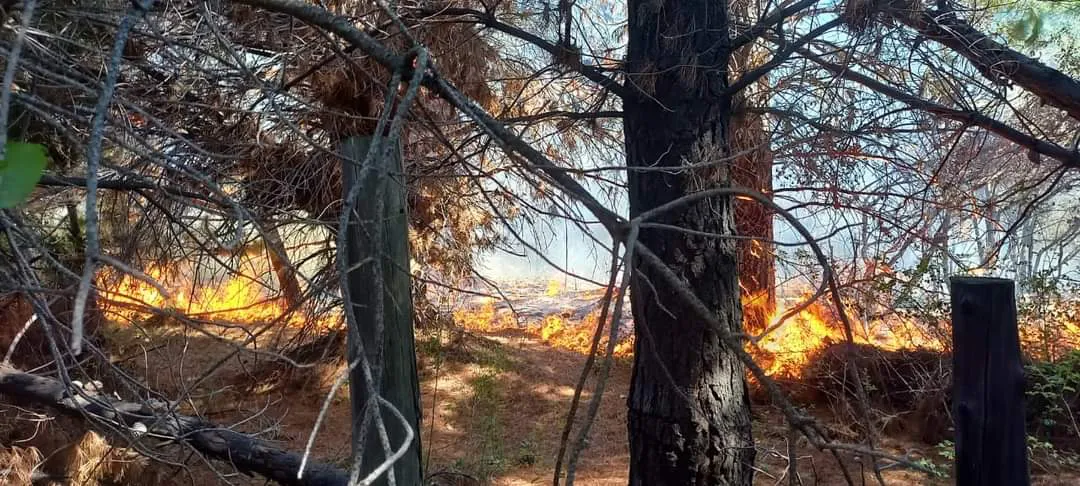 FB_IMG_1703546287156