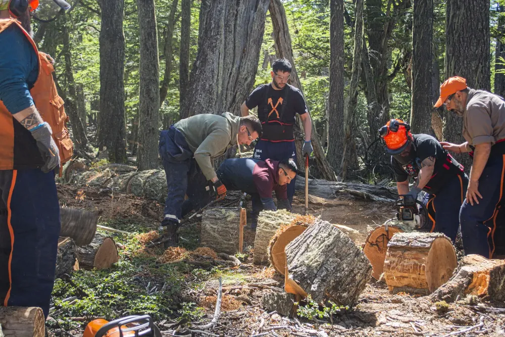 MDSII_LEA_PLAN_INVERNAL_33