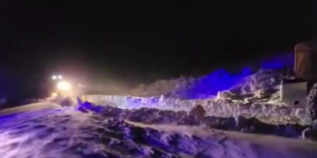 Screenshot_20240804-160033