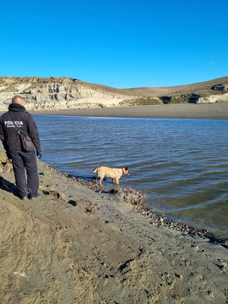 b2fc2792-0858-44c3-a252-0597de021415