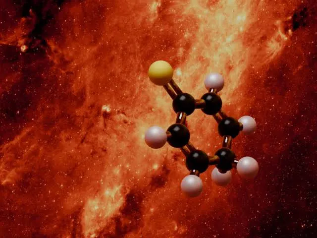 images - 2026-02-04T112957.270