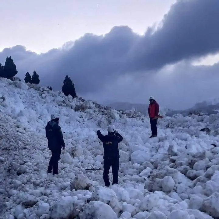 FB_IMG_1719586568285