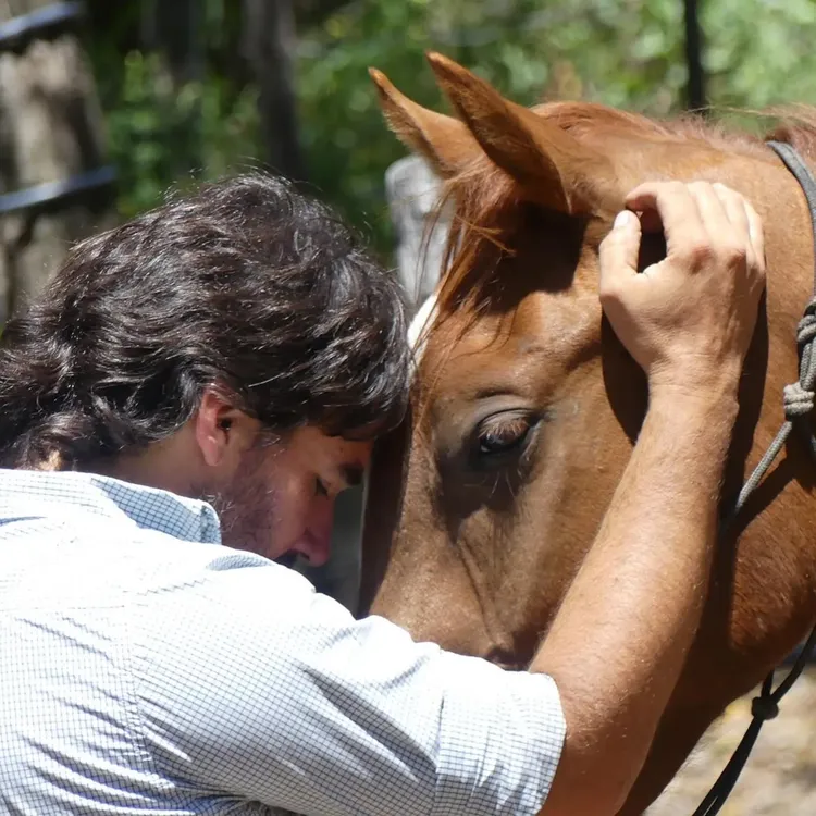 obrar-con-amor-honestidad-y-franqueza-te-llevara-al-exito-escribio-cristobal-en-sus-redes-credito-instagramcristobalscarpati-JV3C6ZY6VJFK3M5HB5MW5ZNE5Q