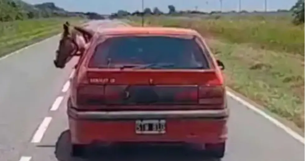 Screenshot_20240105-073934-01