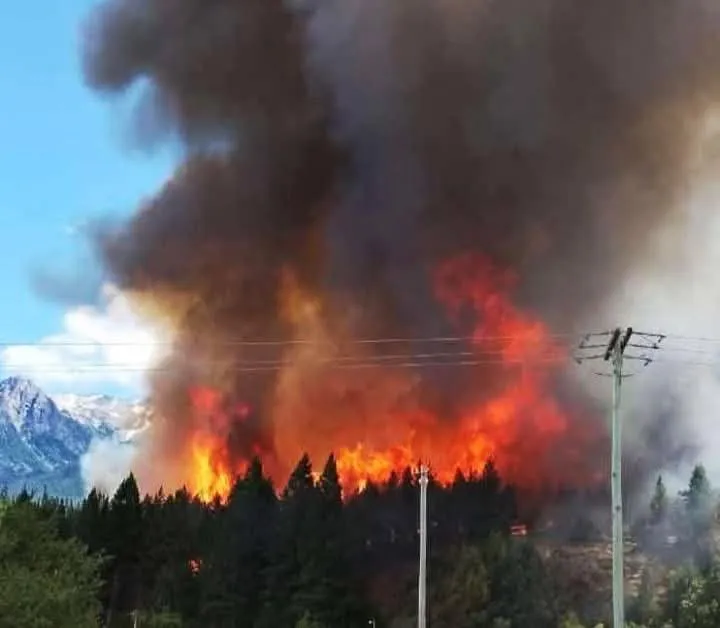 FB_IMG_1736973492075