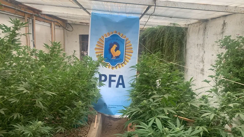 13de80ac-014d-443e-80e5-859d791d5843