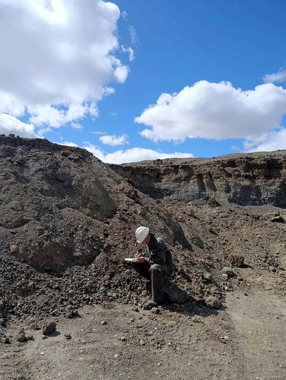 INSPECCIN_CONTROL_AMBIENTAL_DEL_MOSQUITO_1