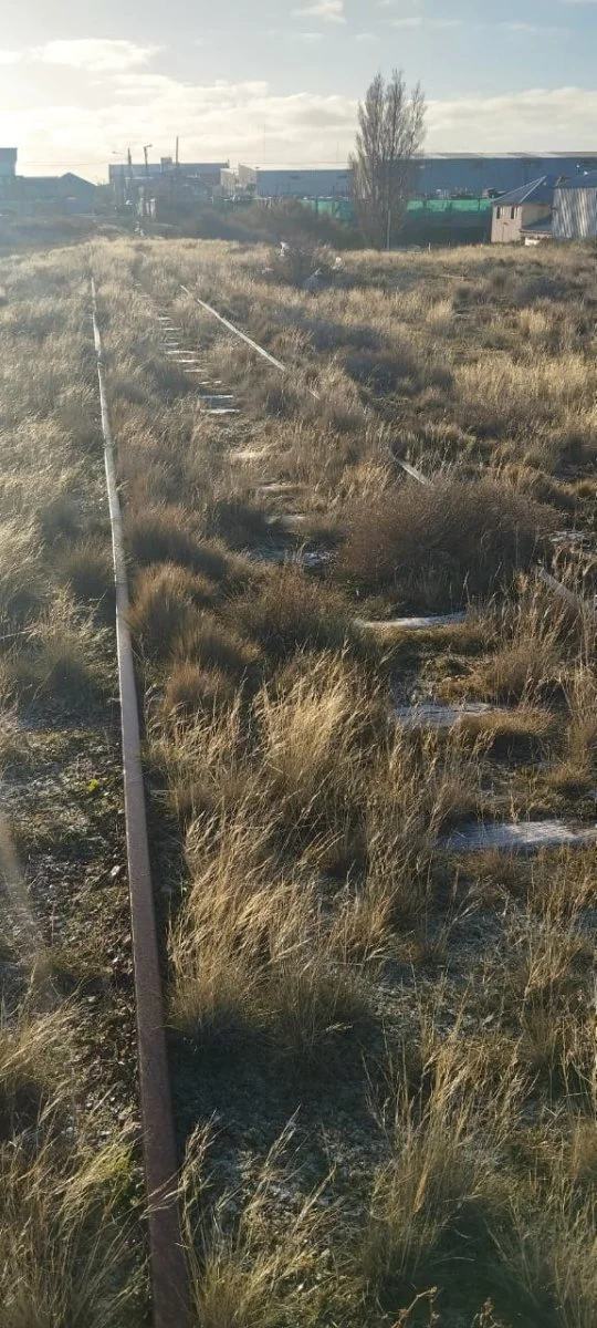 TRANSPORTE_TRENES__3_