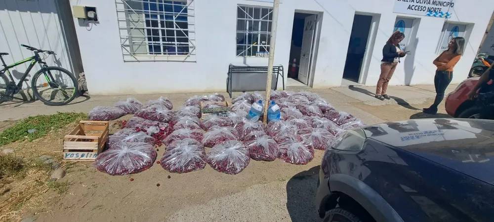 WhatsApp Image 2023-12-28 at 11.58.01 (1)