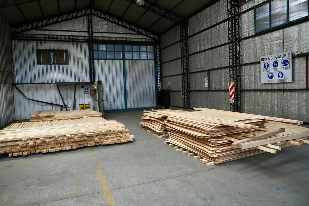 FB_IMG_1766439683403