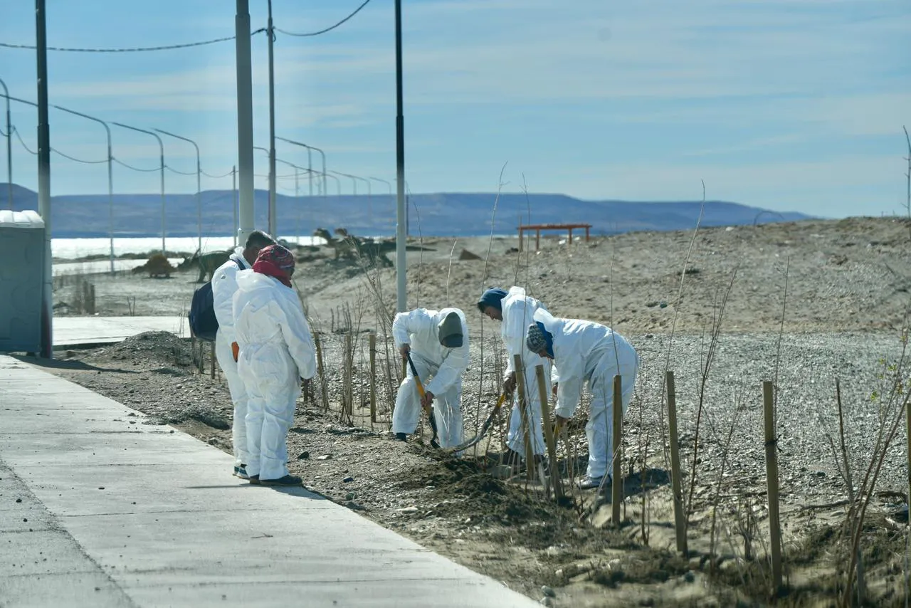 WhatsApp_Image_2026-02-03_at_8.56.10_PM_1