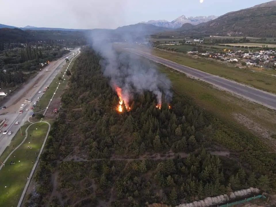 FB_IMG_1706088385919