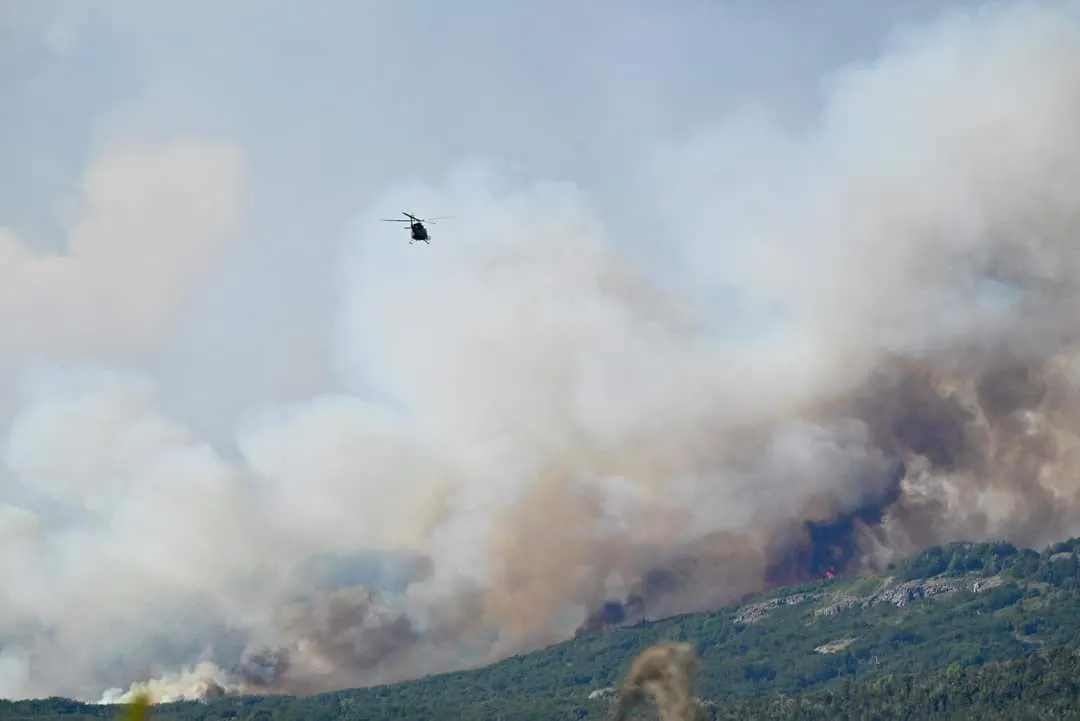 FB_IMG_1707232233041