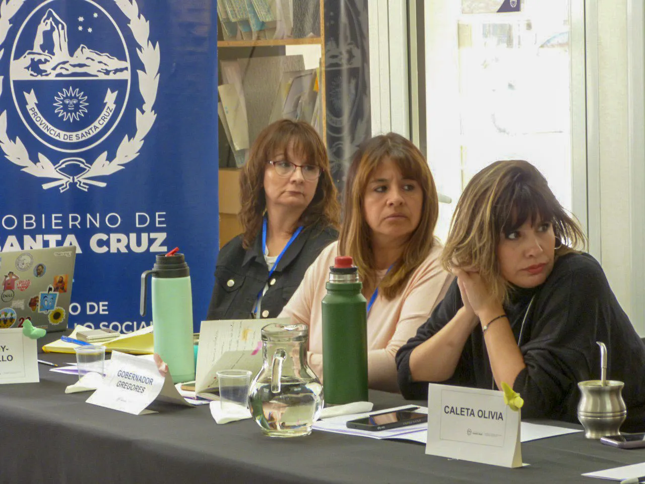 MDSII_CONSEJO_PROVINCIAL_DE_MUJERES_6