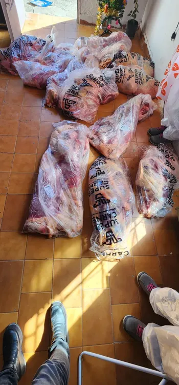 Imagen de WhatsApp 2024-12-13 a las 15.07.43_8103cba7