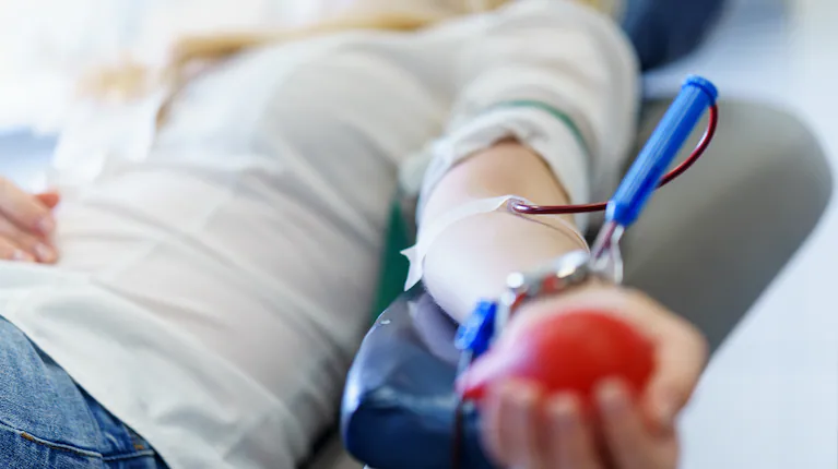 el-cuerpo-gobernante-de-los-testigos-de-jehova-anuncio-una-flexibilizacion-historica-en-su-prohibicion-de-donar-o-recibir-transfusiones-de-sangre-foto-adobe-stock-YDAFHCAAV5CW5BGNRBDKQO4UVM