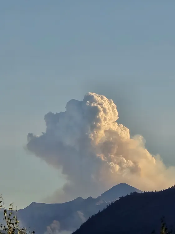 WhatsApp_Image_2026-01-26_at_12.45.50_PM_2