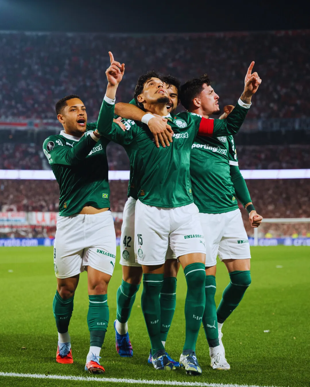 River Palmeiras