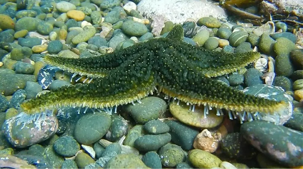 024e39cd-5403-4f45-a697-e88003043569