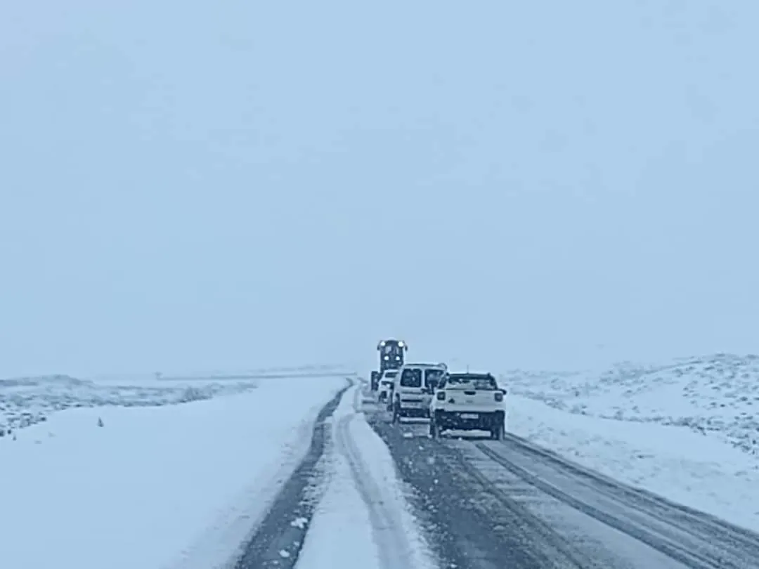 FB_IMG_1722800926935