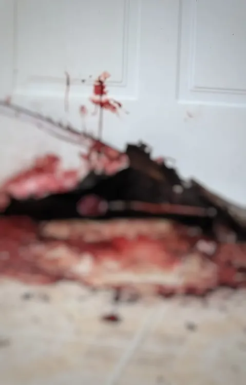 Screenshot_20231226-101255-01