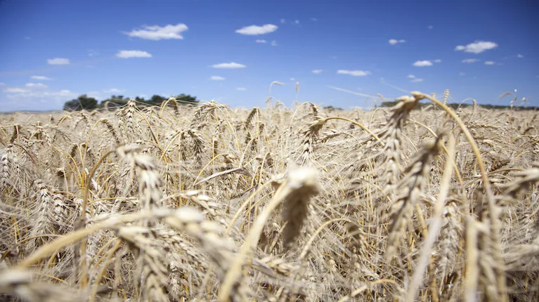 foto-sagyp-PZGP7ECBHNEPHA5MNF5KATOXVM