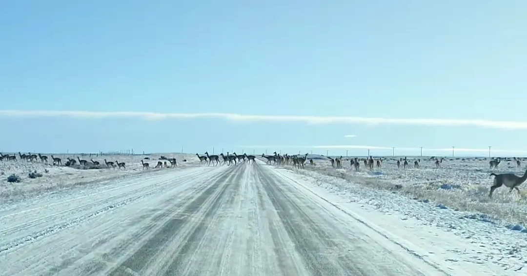 Screenshot_20240722-205348