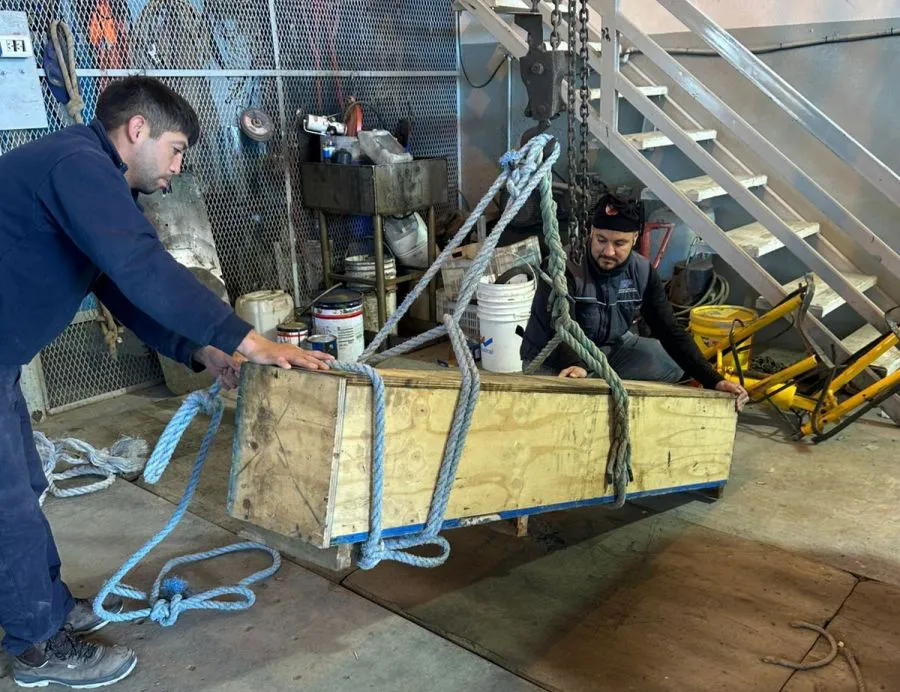 7e6420e79efe56771773faeb0d1df4b5_XL 2