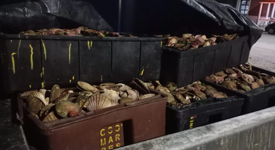 Screenshot_20231230-214707-01