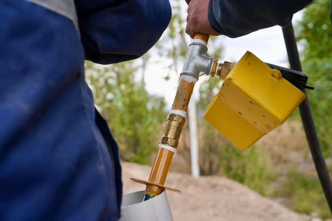 WhatsApp_Image_2026-02-02_at_7.04.11_PM_1