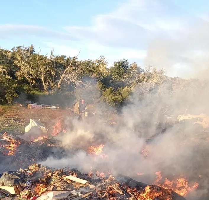 WhatsApp_Image_2026-01-20_at_14.26.21